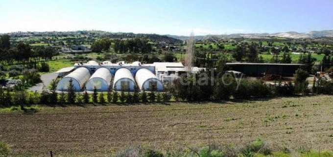 Bâtiment à usage mixte à vendre à Larnaca