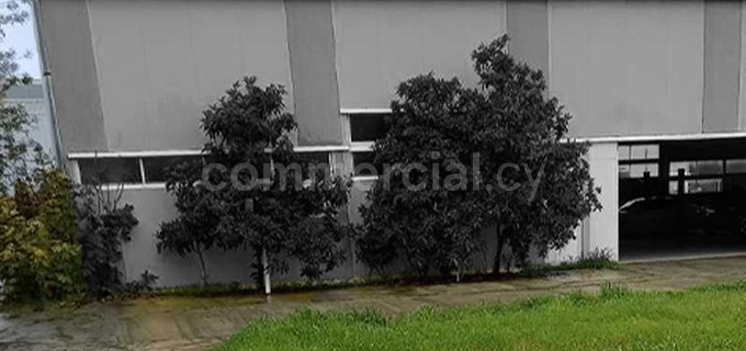 Lager till salu i Larnaca