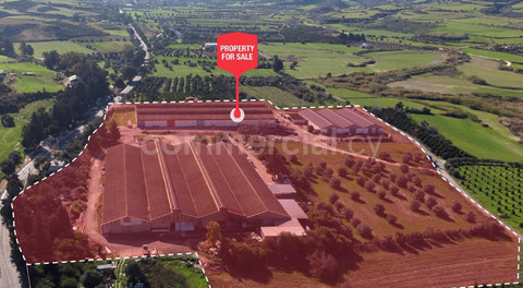 Warehouse for sale in Paphos