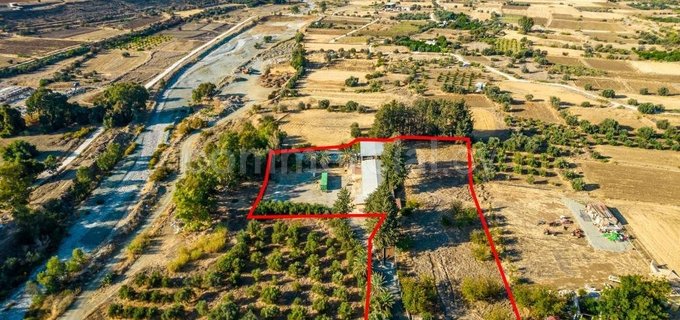 Warehouse for sale in Nicosia