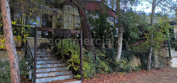 Εστιατόριο προς πώληση - Λευκωσία