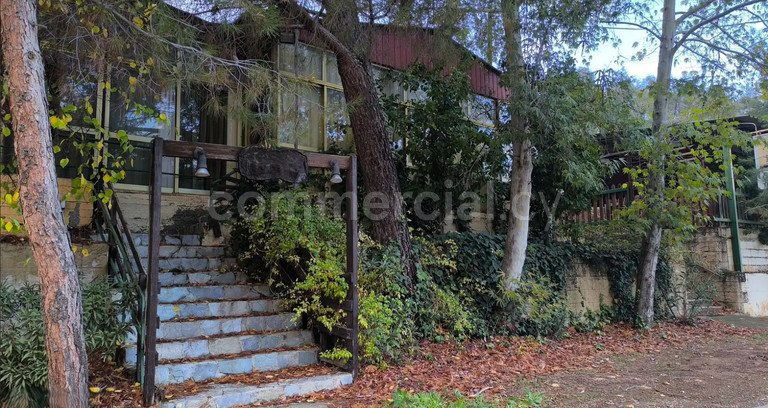 Εστιατόριο προς πώληση - Λευκωσία