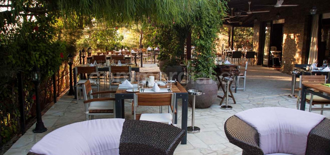 Mixed use building for sale in Peyia