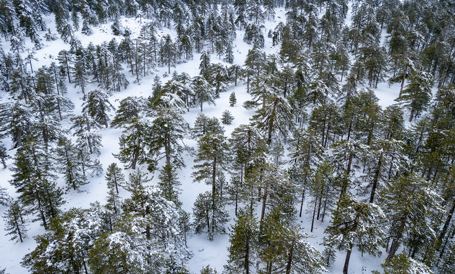 Winter in Cyprus - Snow, skiing & sun
