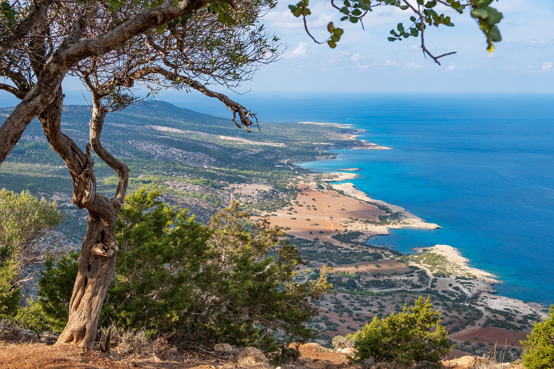 The best hiking trails in Cyprus