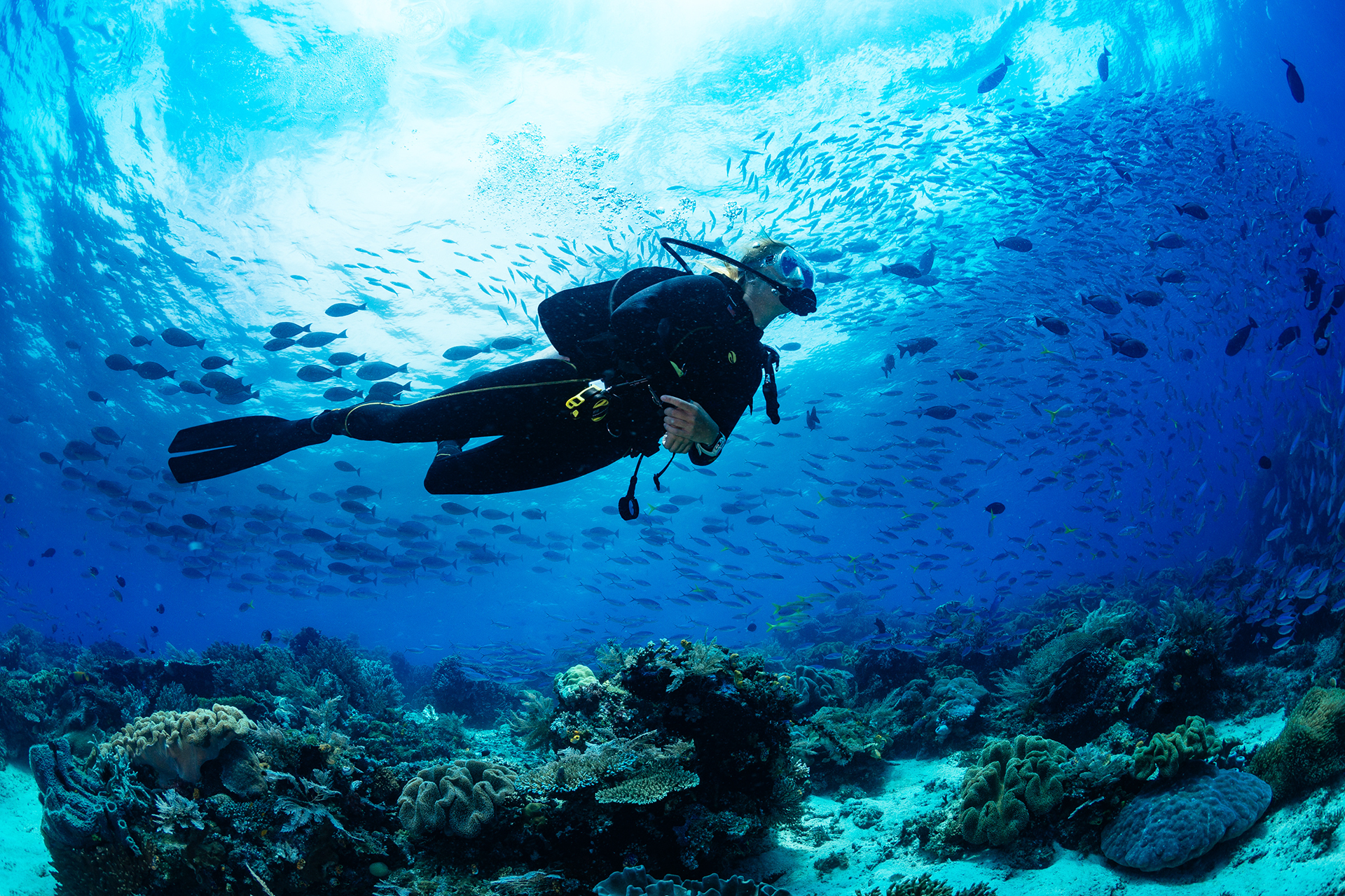 Erforschen Sie die magische Unterwasserwelt Zyperns durch Tauchen.