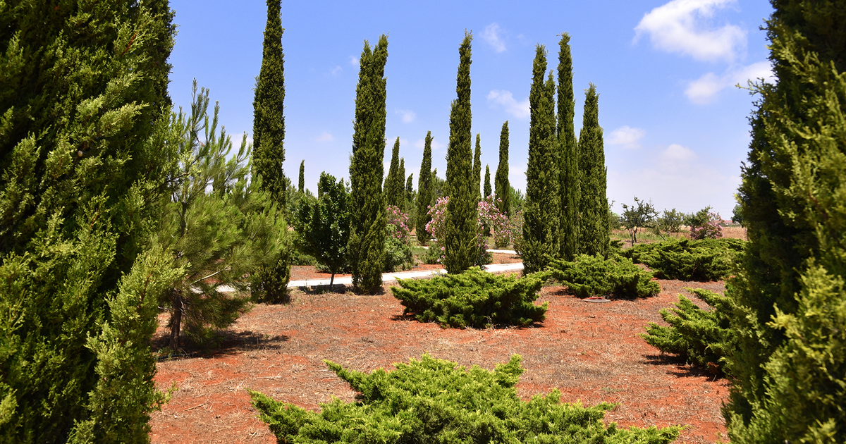 Cypriot municipalities set goal of achieving climate neutrality by 2030