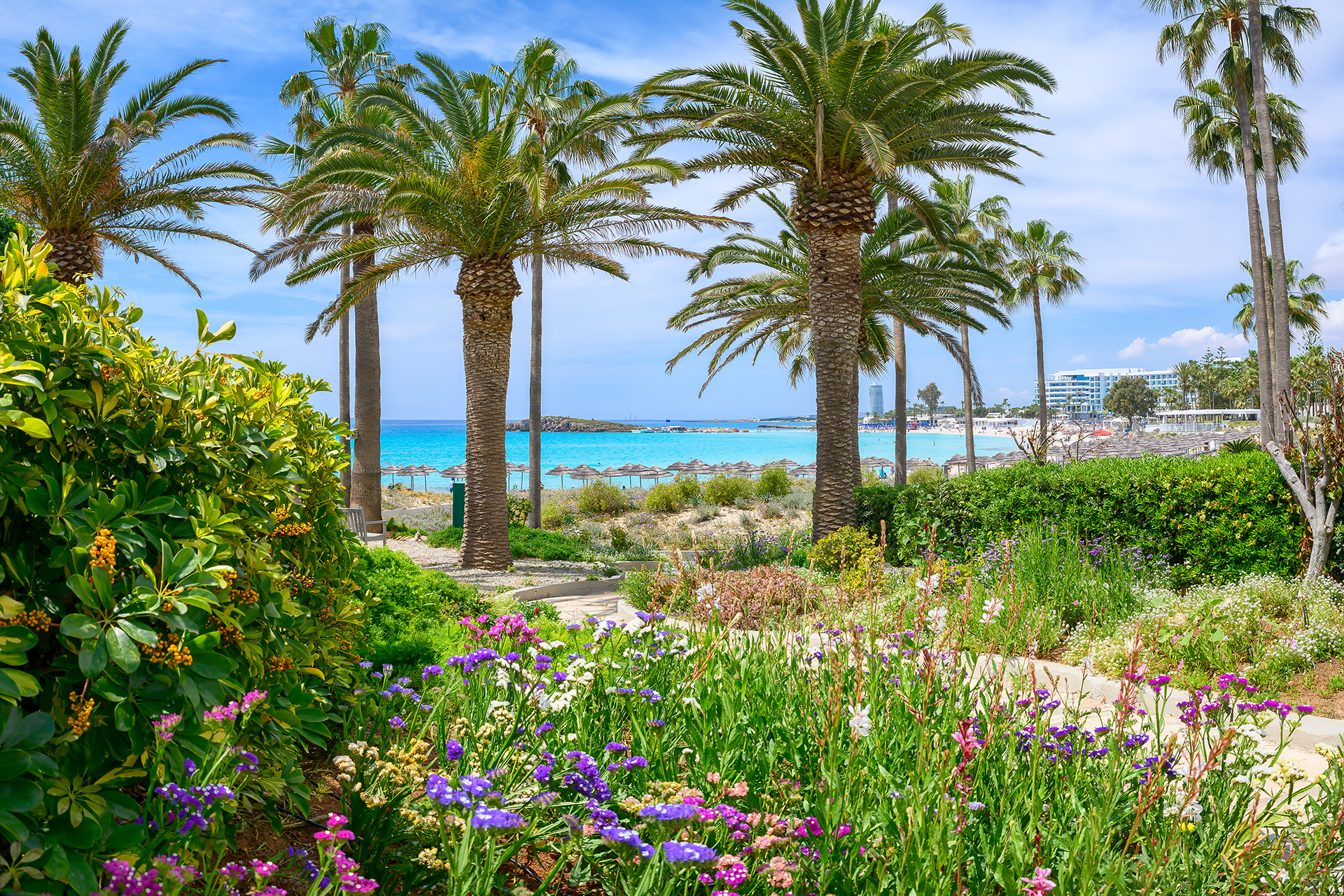 Searches for vacation destinations place Cyprus at number six