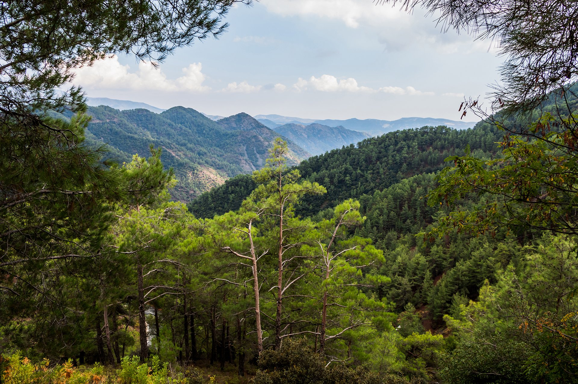 Upgrade project in Troodos progresses with new developments