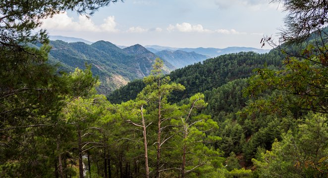 Upgrade project in Troodos progresses with new developments