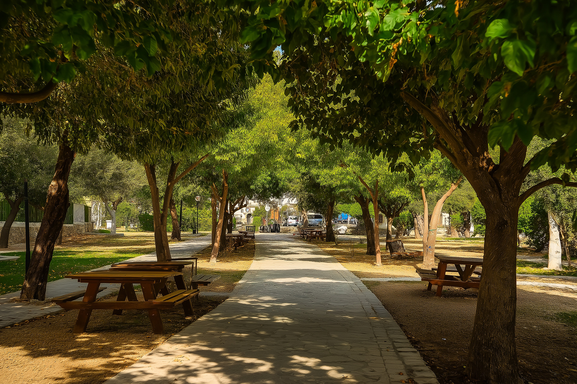 Plans to build a €9.2 million linear park are moving forward in Paphos