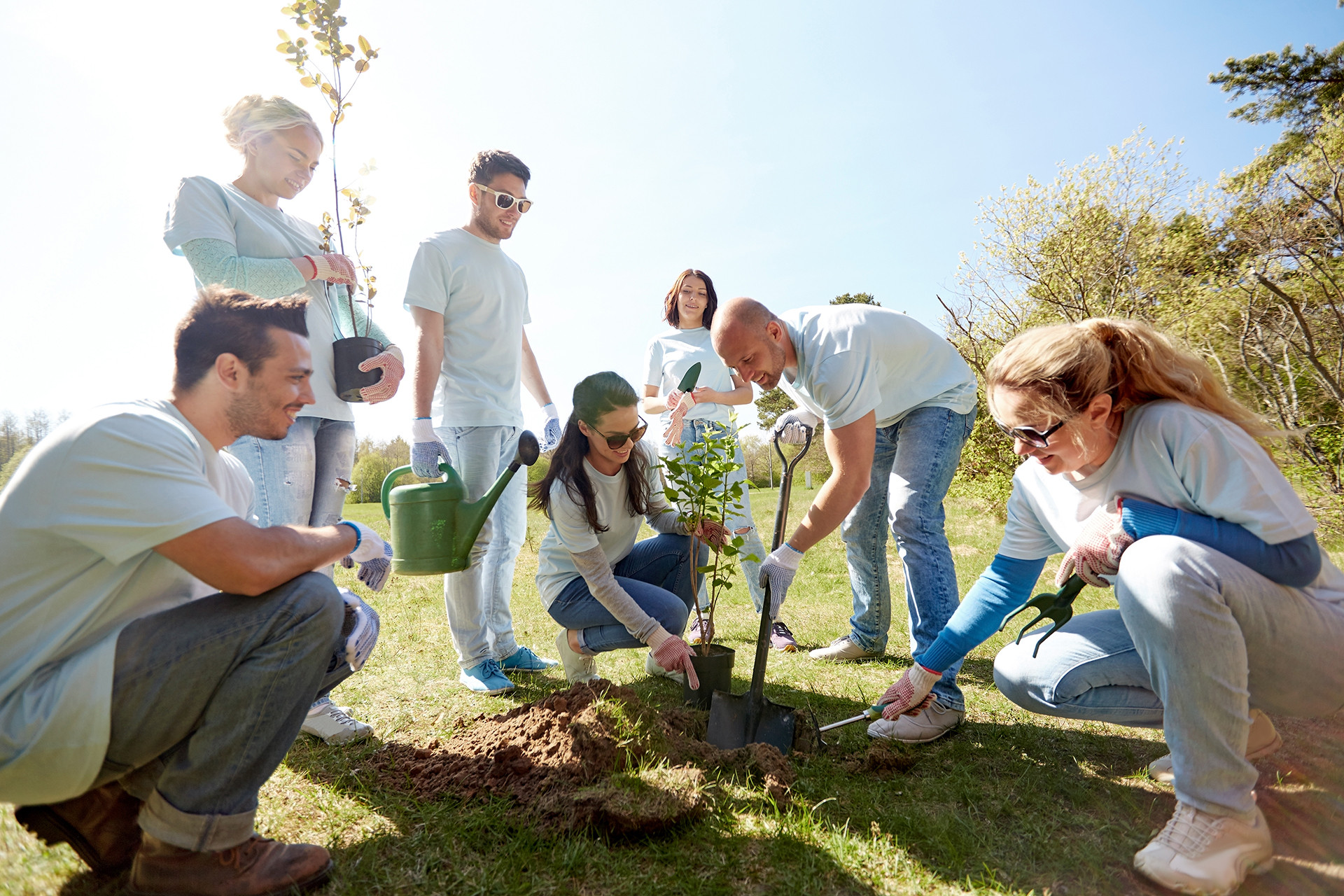 A European effort in Cyprus planted thousands of new trees 