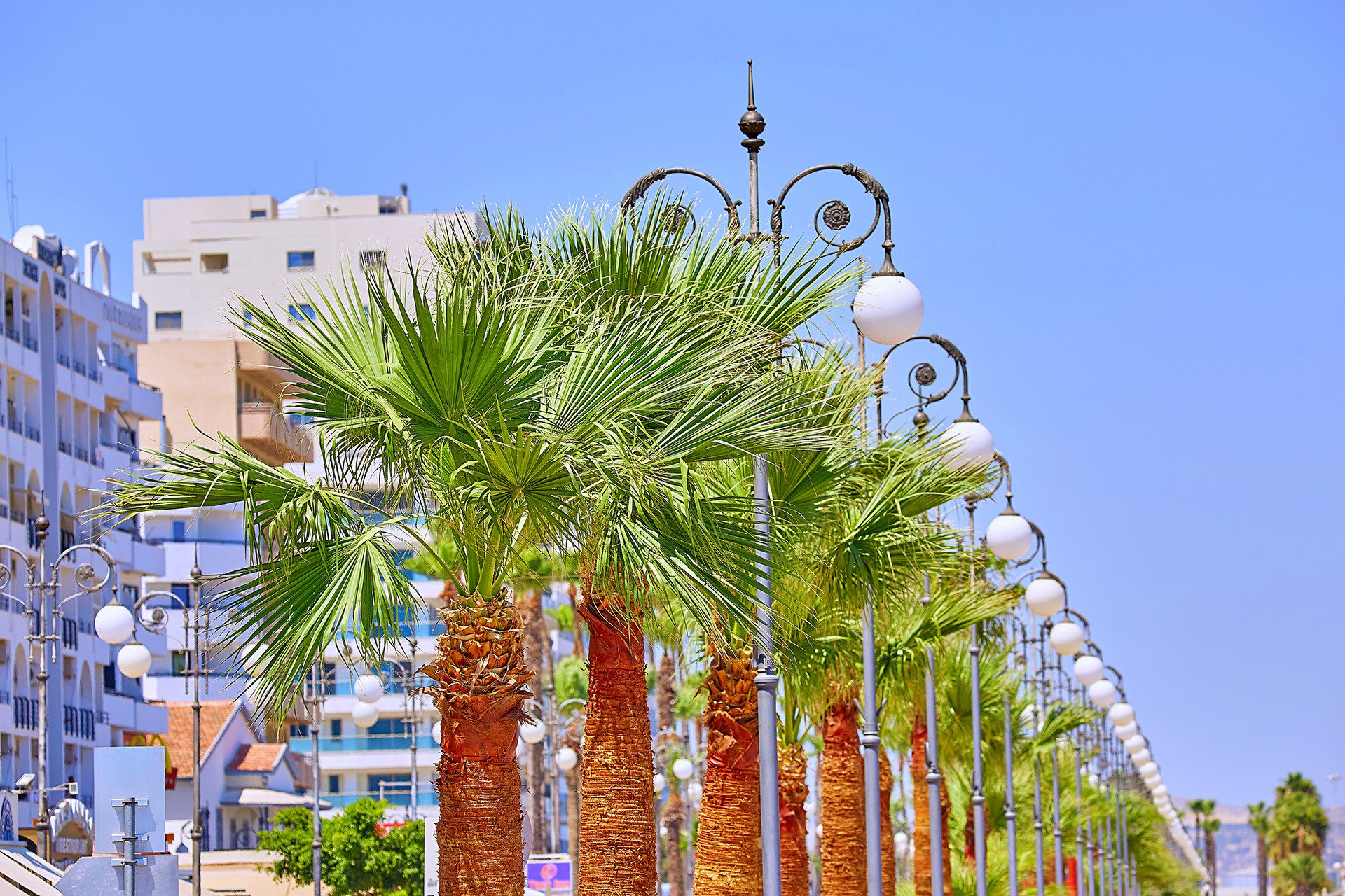 Larnaca launches ambitious greening initiative to transform urban landscape