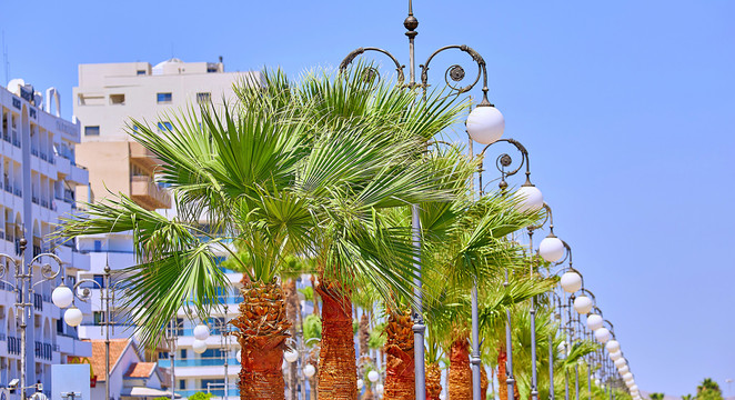 Larnaca Launches Ambitious Greening Initiative to Transform Urban Landscape