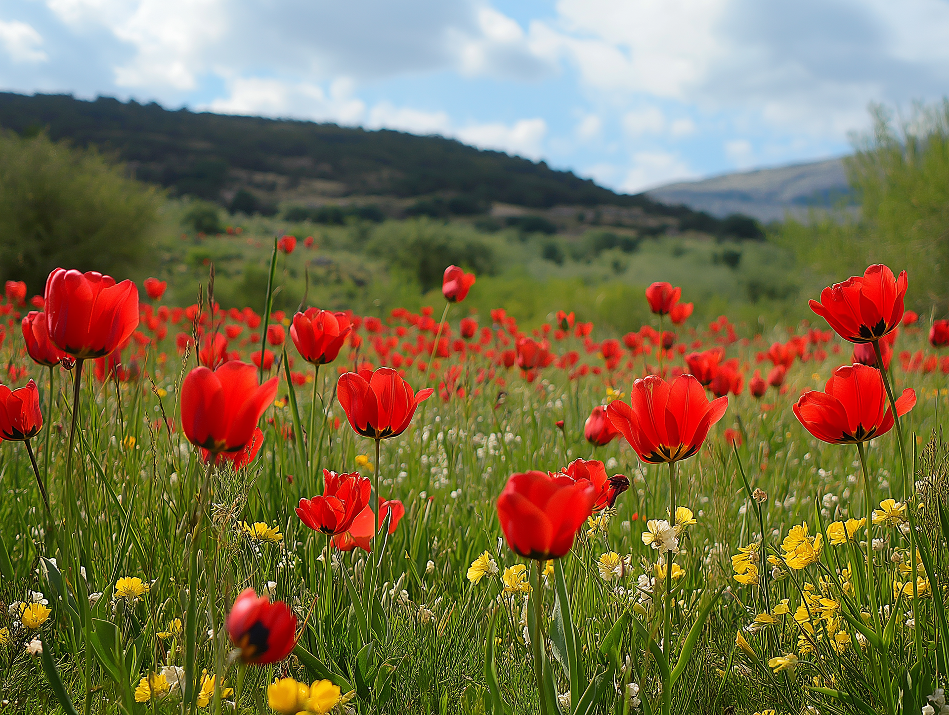 Events that you don't want to miss in Cyprus in April 2025