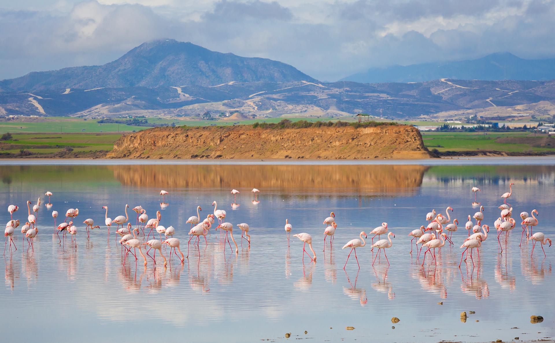 Larnaca’s iconic salt lakes get a new life