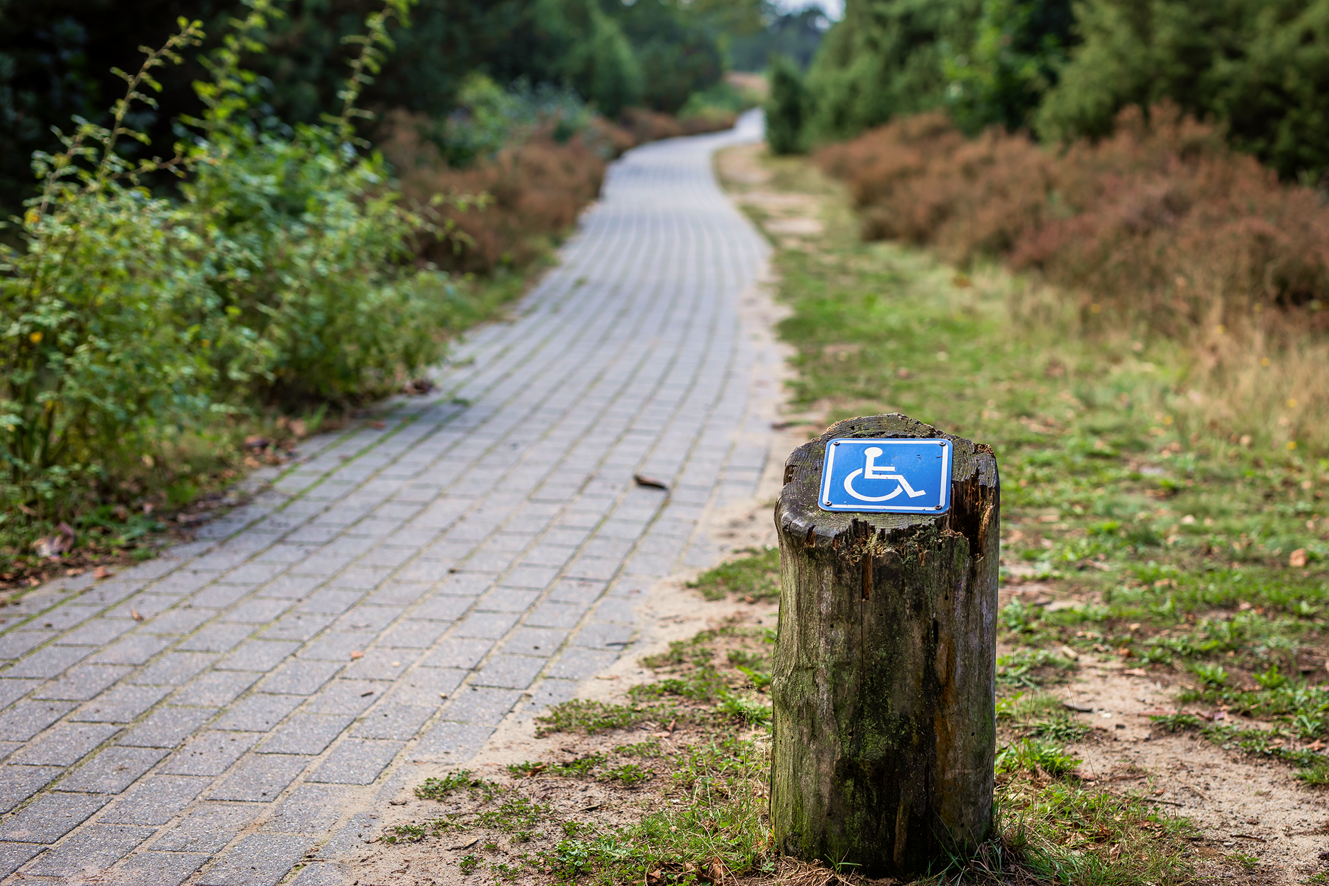 Accessible nature: Cyprus launches “Inclusive Routes” initiative