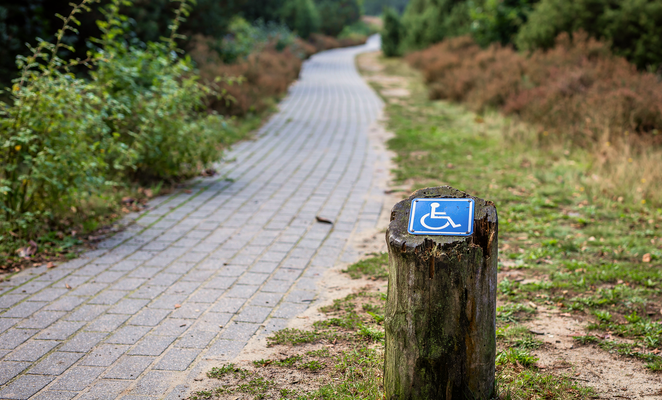 Accessible nature: Cyprus launches “Inclusive Routes” initiative