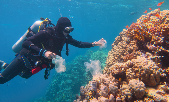 Community cleanup effort clears harbour floor in Paphos