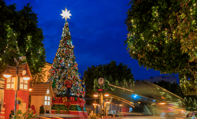 Christmas bonus to support 65,000 families in Cyprus