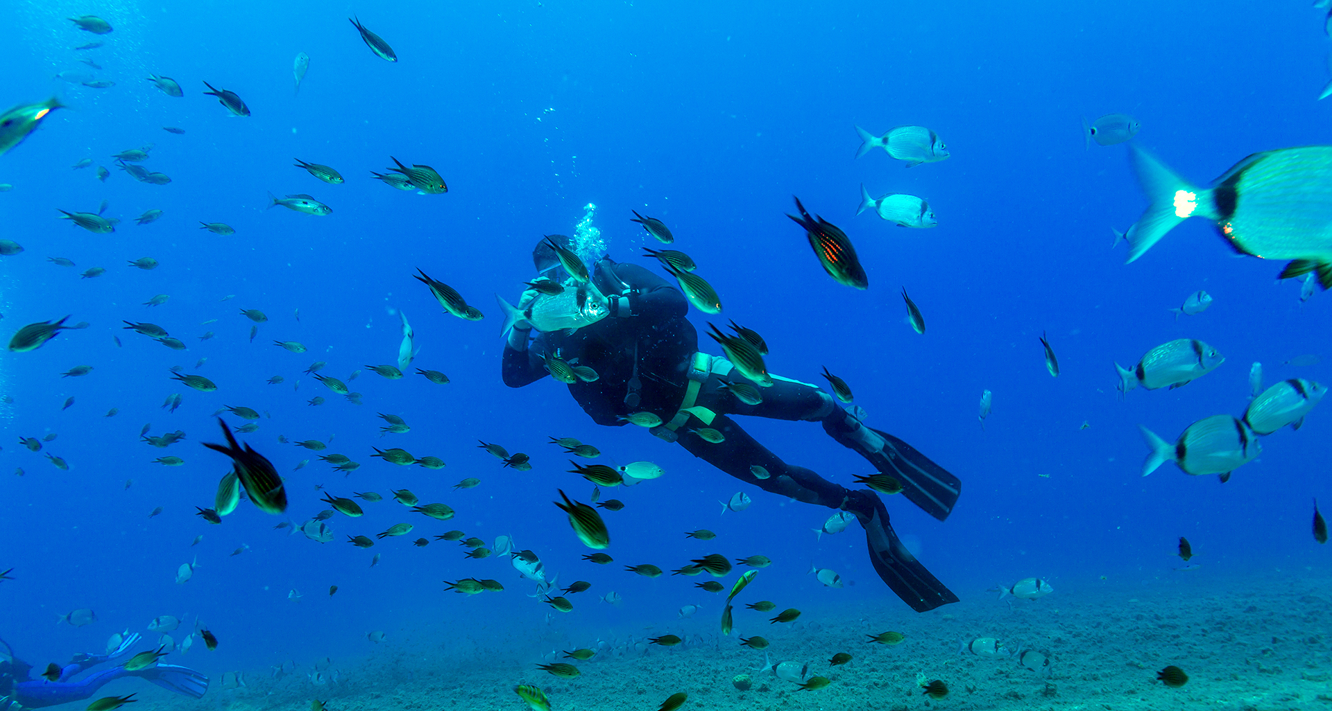  Paralimni-Deryneia launches free diving guide to showcase its underwater world