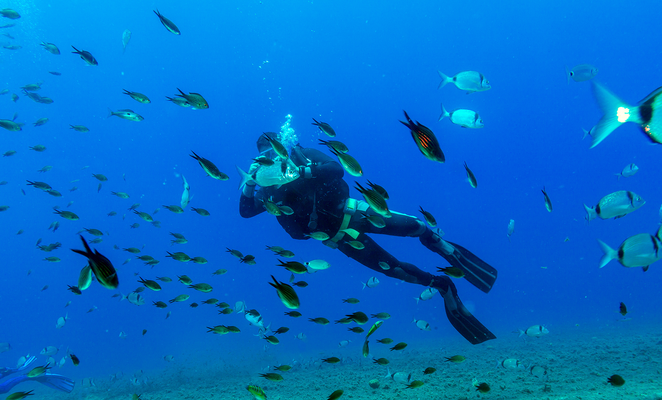  Paralimni-Deryneia launches free diving guide to showcase its underwater world