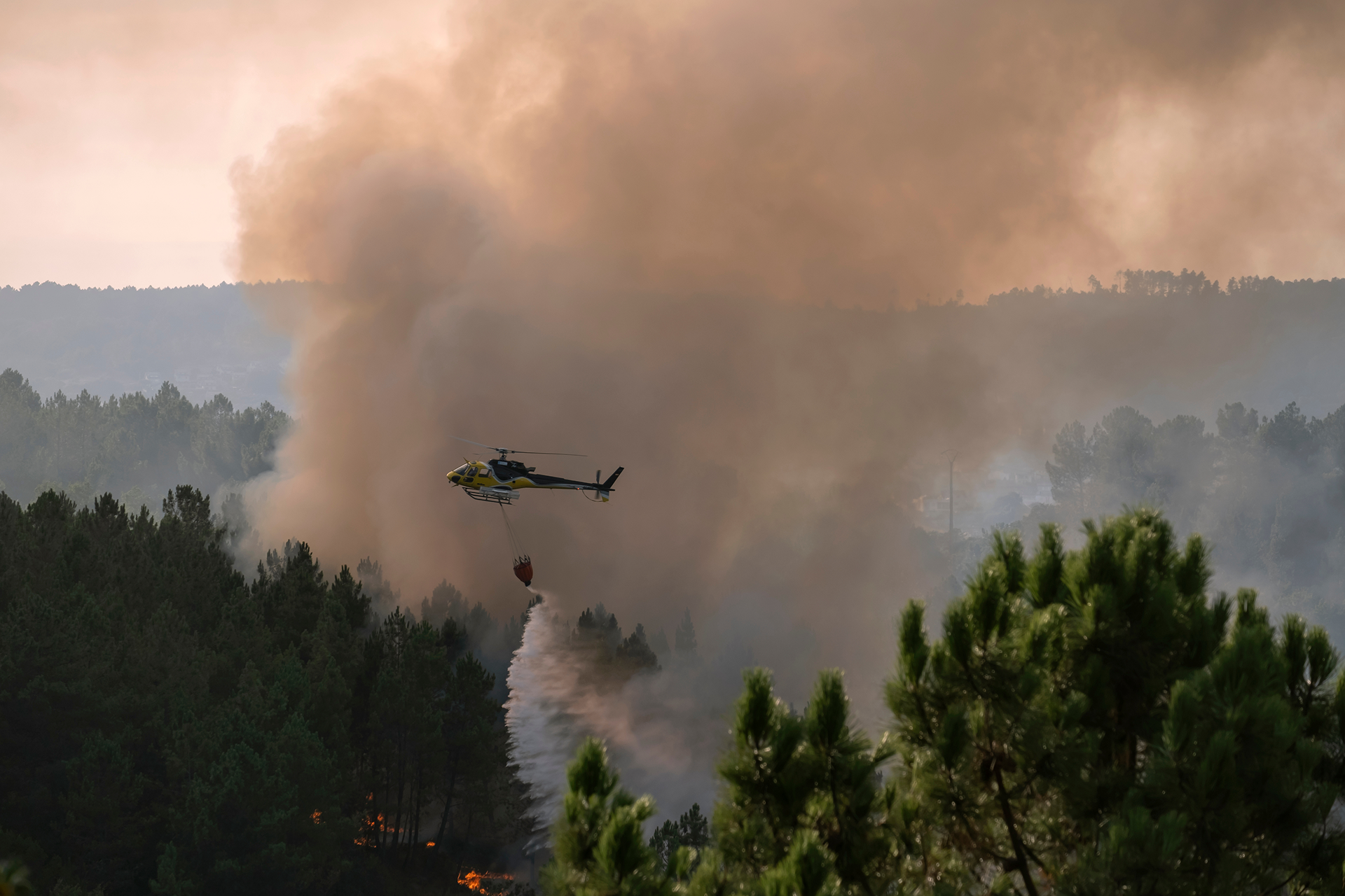 Expanded aerial fleet strengthens Cyprus fire response capacity