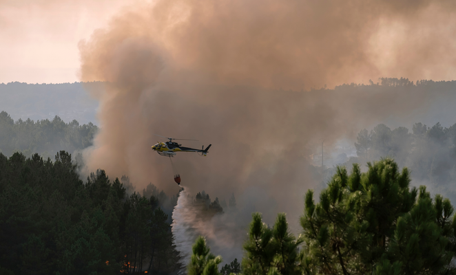 Expanded aerial fleet strengthens Cyprus fire response capacity