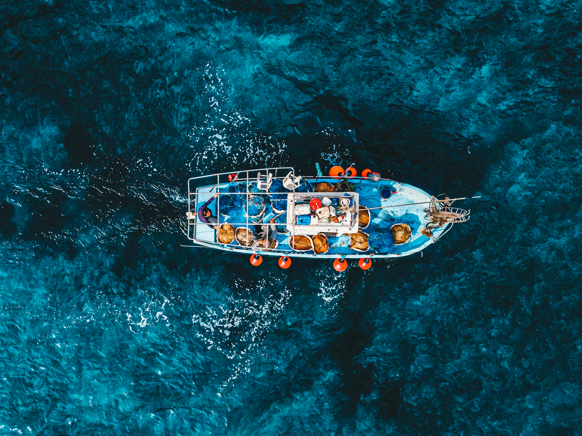 Investments support resilient fishing sector and rural growth