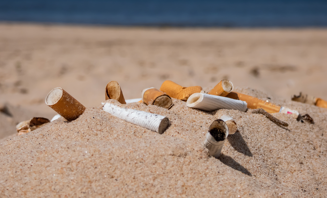 Cyprus launches new system to tackle cigarette butt pollution