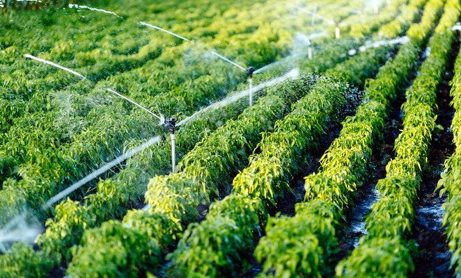 Extra water resources to support agricultural needs