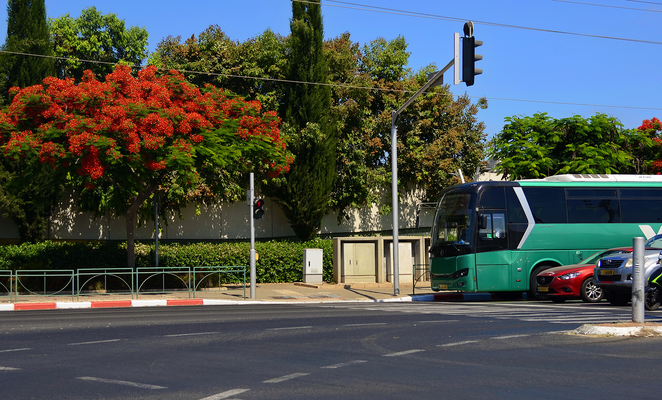 Park-and-ride services could help ease traffic across Cyprus