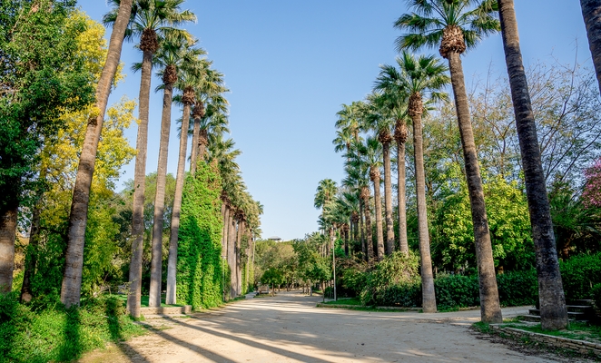 Nicosia to give historic Municipal Gardens a new lease of life