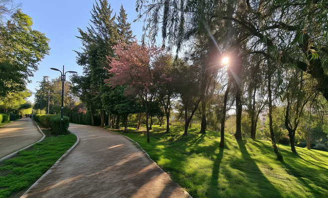 Nicosia’s Pedieos Linear Park plans bring new spaces for sport, nature and leisure