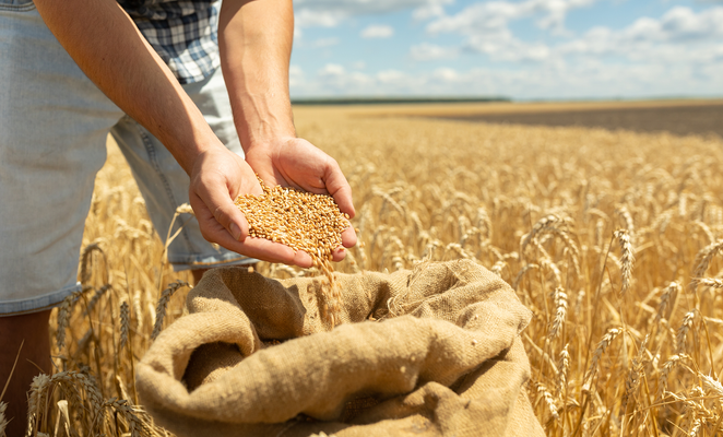 Farmers share their harvest with families in need