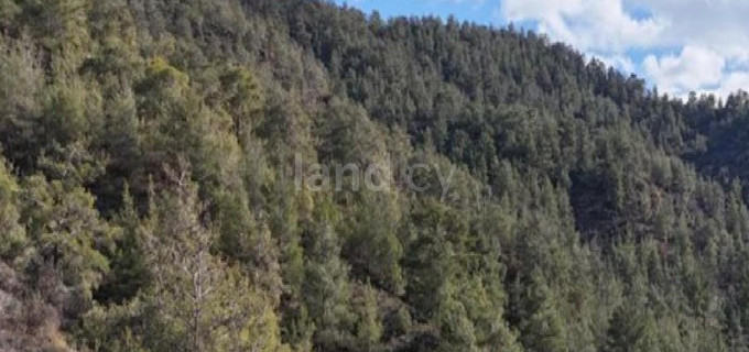 Agricultural field for sale in Nicosia