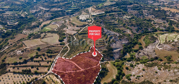 Agricultural field for sale in Paphos