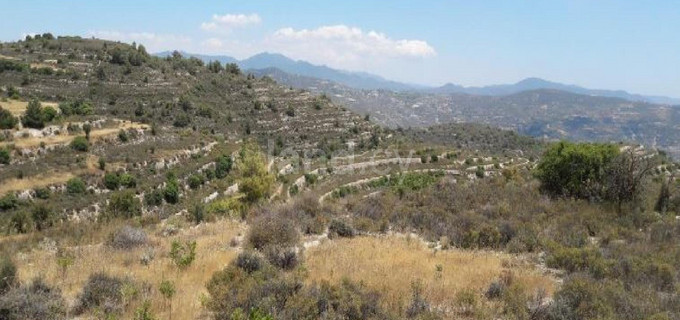 Campo agrícola a la venta en Limassol