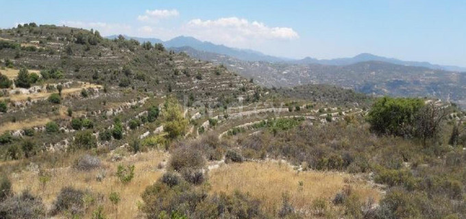 Agricultural field for sale in Limassol