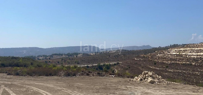 Agricultural field for sale in Limassol
