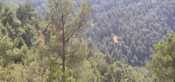 Agricultural field for sale in Nicosia
