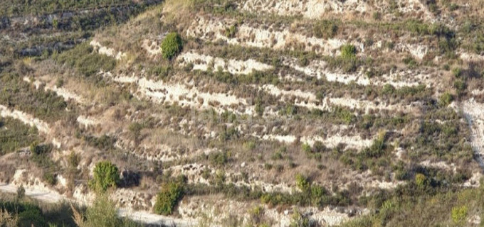 Agricultural field for sale in Limassol