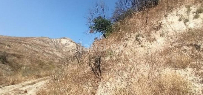 Αγροτικό αγροτεμάχιο προς πώληση - Πάφος