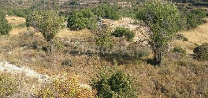 Αγροτικό αγροτεμάχιο προς πώληση - Λεμεσός