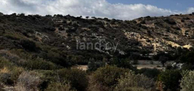 Terrain agricole à vendre à Larnaca