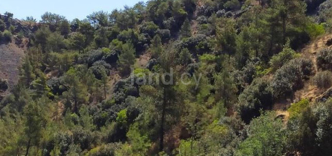 Jordbruksfält till salu i Nicosia