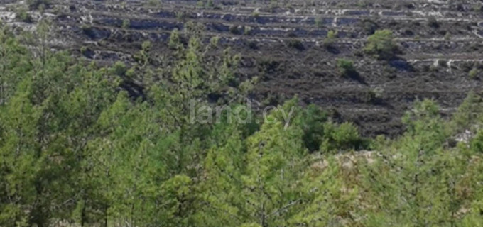 Jordbruksfält till salu i Limassol