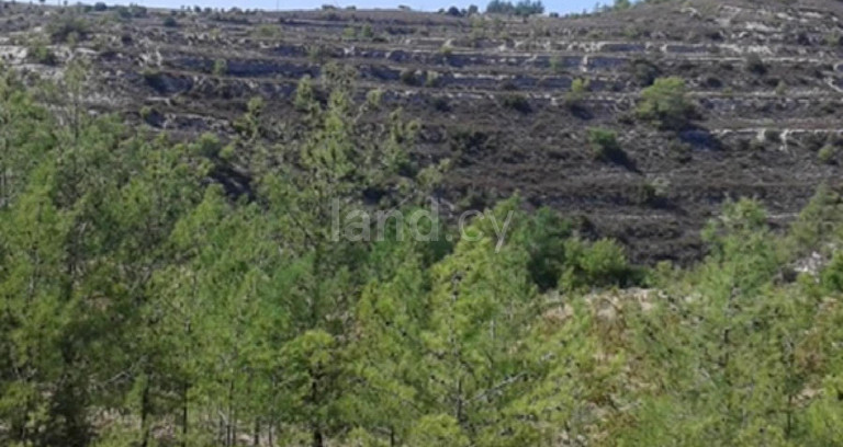Jordbruksfält till salu i Limassol