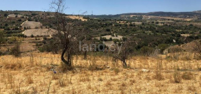 Terrain agricole à vendre à Paphos