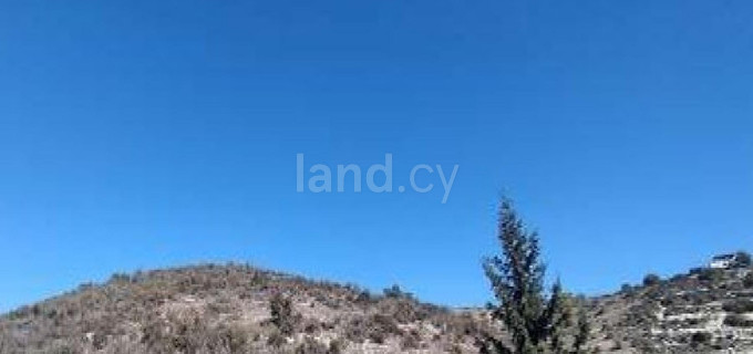 Agricultural field for sale in Larnaca